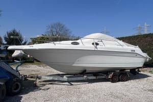 Sea Ray 250