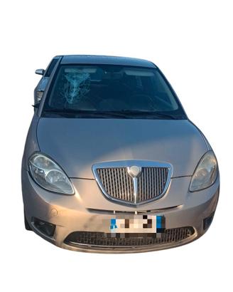 Ricambi disponibili per Lancia Ypsilon 1.3 Multije