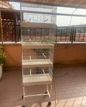 Gabbie da cova per canarini e pappagalli