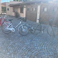 Lotto biciclette Ducati Bianchi