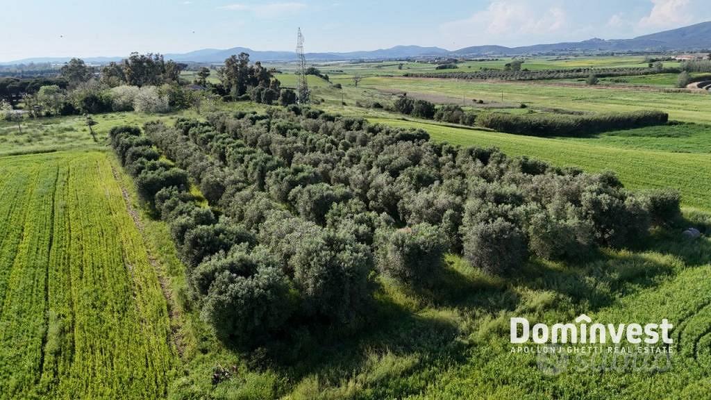Rustico / Casale di 311 m² con più di 5 locali a C - Vista 5
