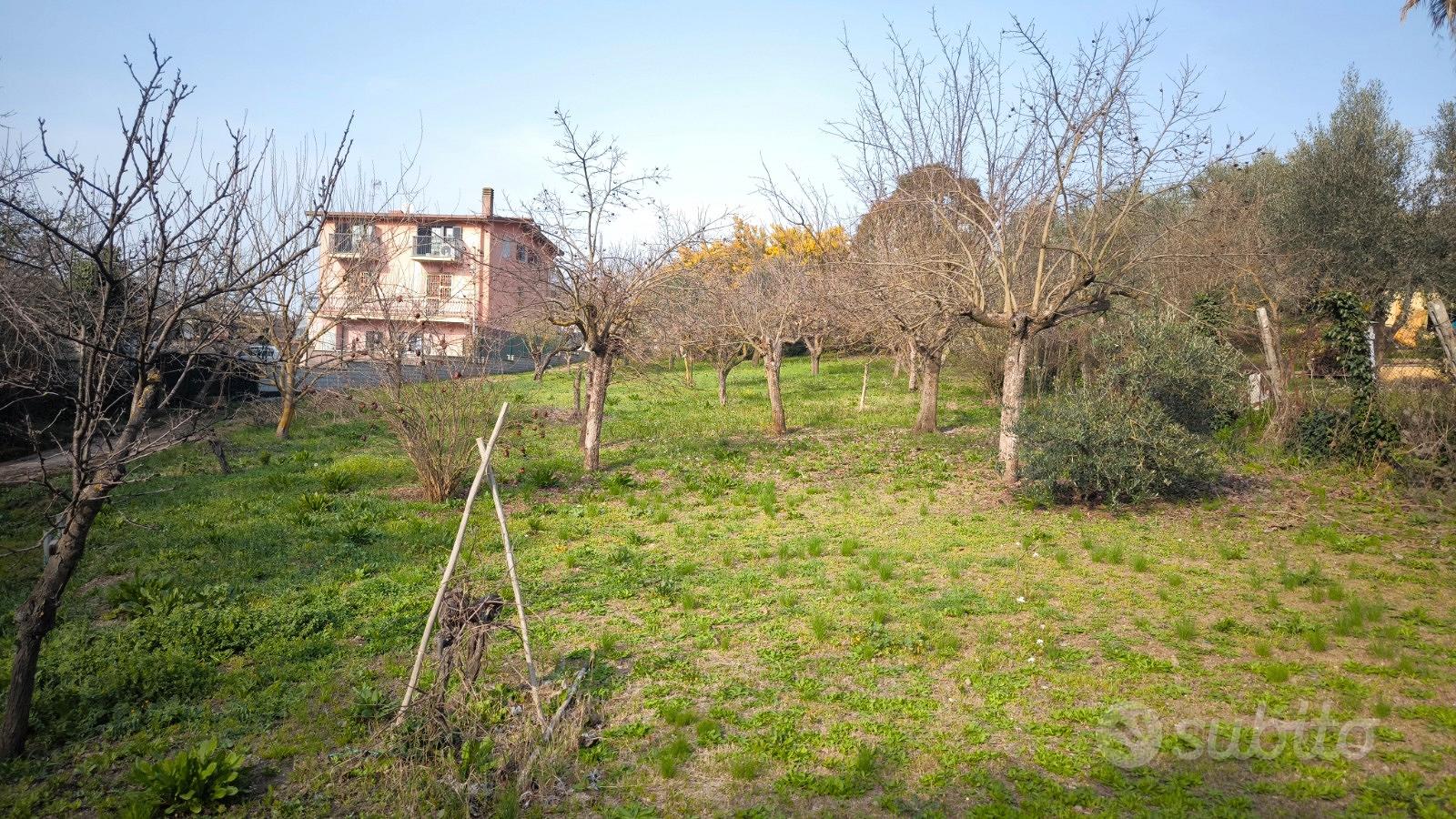 Terreno e casale - Vista 2