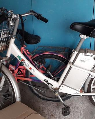 Bicicletta Elettrica a Pedalata Assistita (E-Bike)