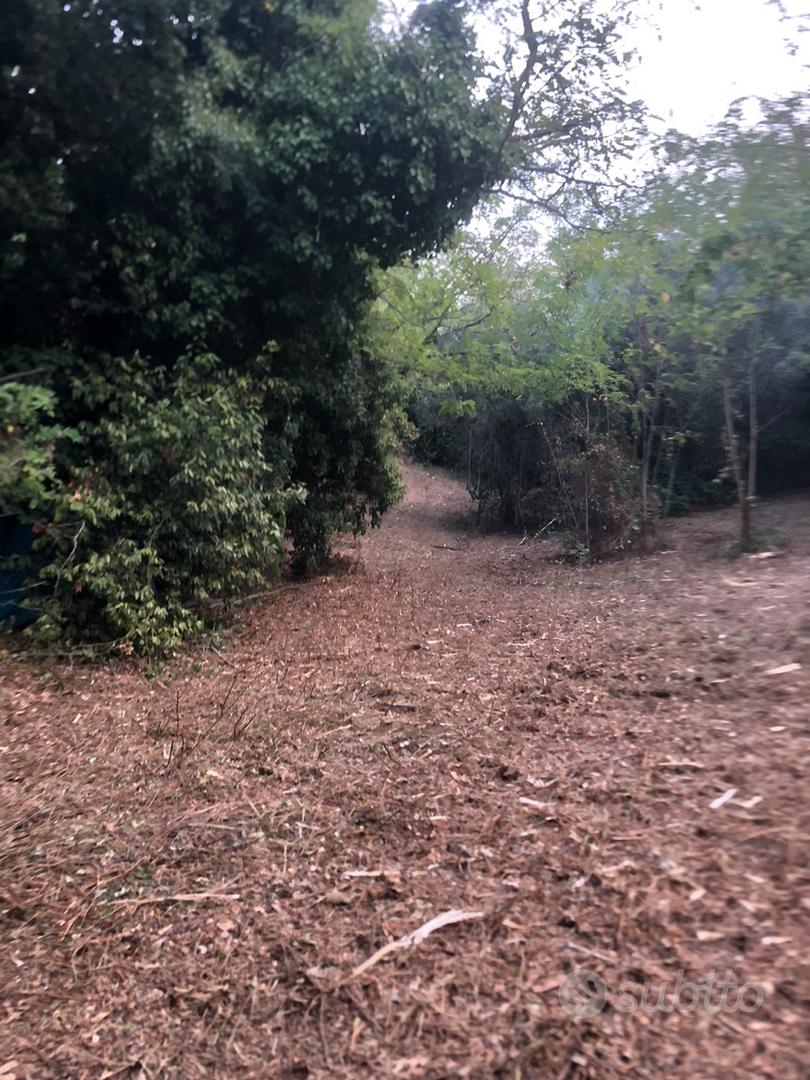 Terreno agricolo 3400 mq - Vista 3
