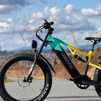 Bicicletta elettrica MTB Lankeleisi RV 800 Plus