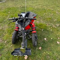 Carrozzina elettrica