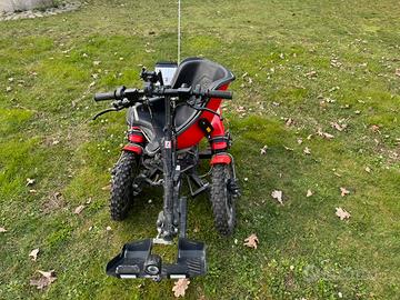 Carrozzina elettrica