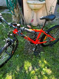 Bici mtb ragazzi