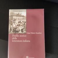 Profilo Storico Della Letteratura Italiana