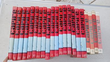 Enciclopedia Capire 17+4 volumi