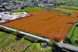 Terreno agricolo di 4 ettari fronte strada