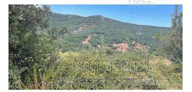 Terreno Agricolo Aglientu [A4325589]