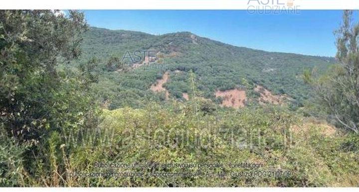 Terreno Agricolo Aglientu [A4325589]