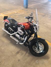 Harley Davidson sportster custom 1200 XL C