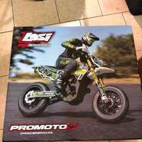 Losi promoto 