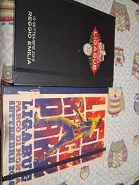 Dvd Luciano Ligabue