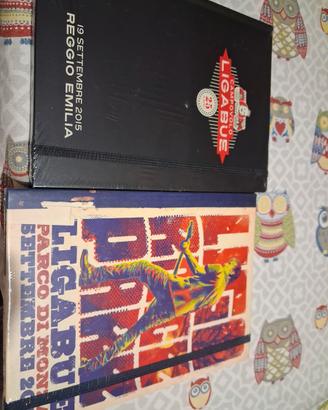 Dvd Luciano Ligabue