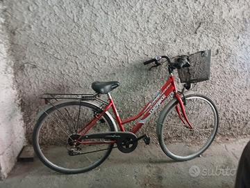 Due biciclette da passeggio