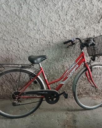 Due biciclette da passeggio