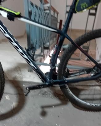 Mtb scott scale 910