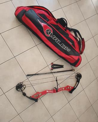 Arco compaund Kinetic Static