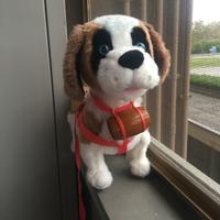 Samby Guochi Preziosi