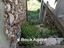 Immagine 16