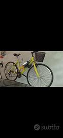Monte bike unisex sportiva con cestino