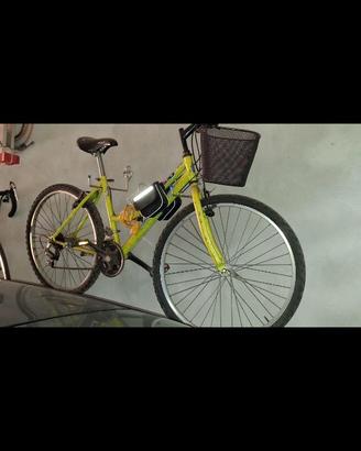 Monte bike unisex sportiva con cestino