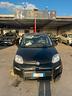 fiat-panda-1-0-hybrid-incidentato-2022