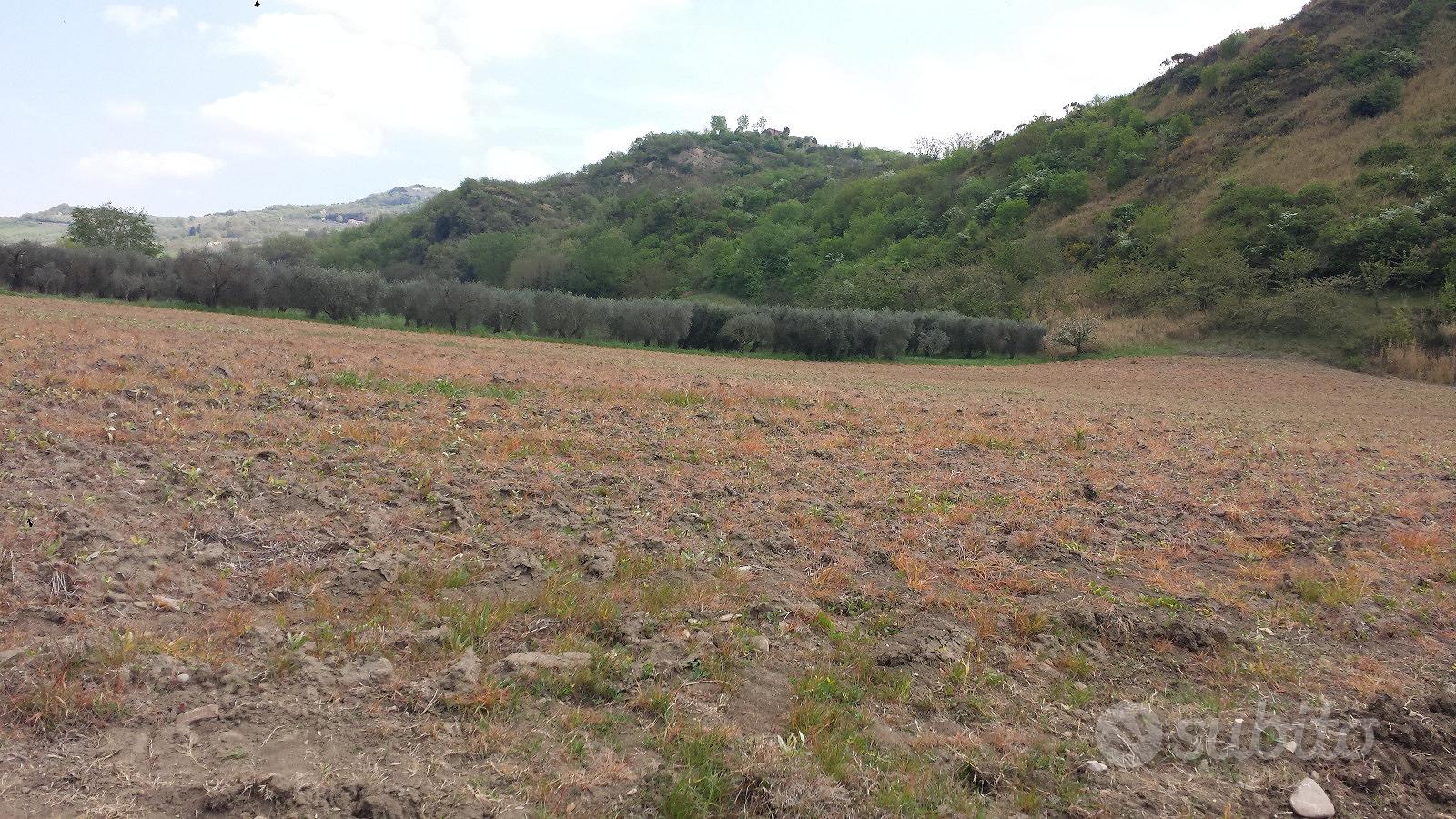 Terreno Agricolo - Vista 2