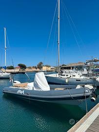 GOMMONE BWA 26 SPORT GT + SUZUKI 2023