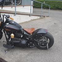 Harley davidson cross bones