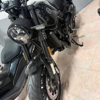 Benelli Leoncino 500