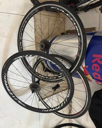 BICI PINARELLO
