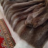 pelliccia di marmotta