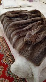 pelliccia di marmotta