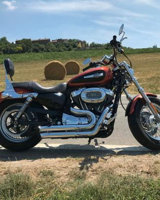 Scarico per modelli Harley-Davidson Sportster.