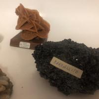 Collezione minerali etichettati