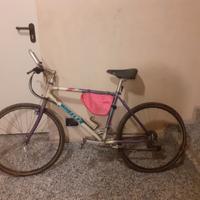 mountain bike Wheeler 6600
