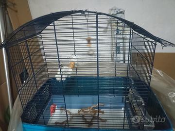 gabbia