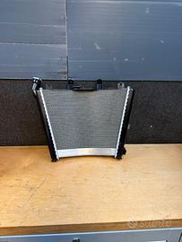 Radiatore Bmw S 1000   2019-2025