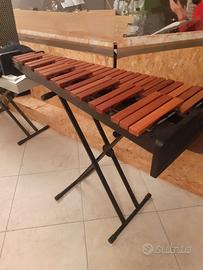 Xilofono da studio 