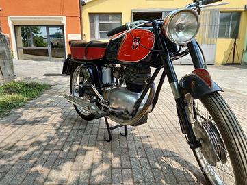 Gilera 175 Sport 1952