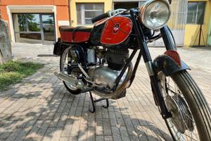Gilera 175 Sport 1952