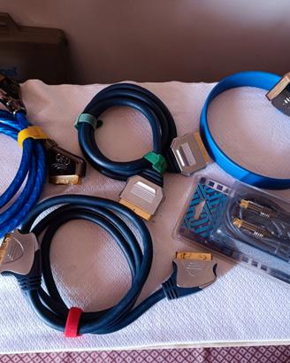 video scart s video