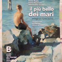 libro IL PIÙ BELLO DEI MARI B