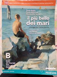 libro IL PIÙ BELLO DEI MARI B