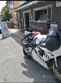 honda cbr 1000 rr 954