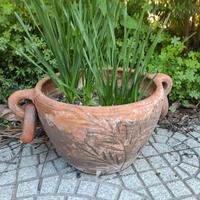 vasi terracotta con pianta 